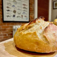 Homemade Sourdough Bread|Tony Stewartさん