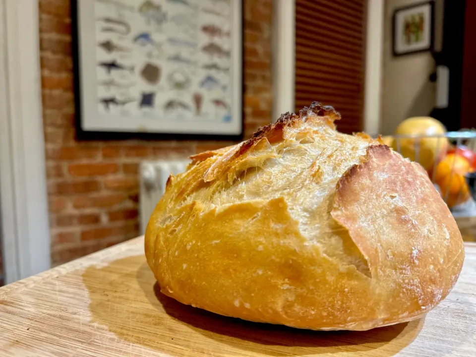 Homemade Sourdough Bread|Tony Stewartさん