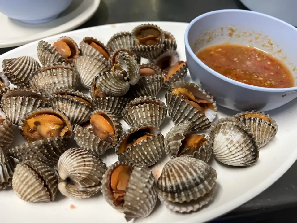 タイ🇹🇭バンコクのトンブリ地区の屋台で茹で赤貝
美味しかったですよ♪|Mikoshiba Kazutoshiさん