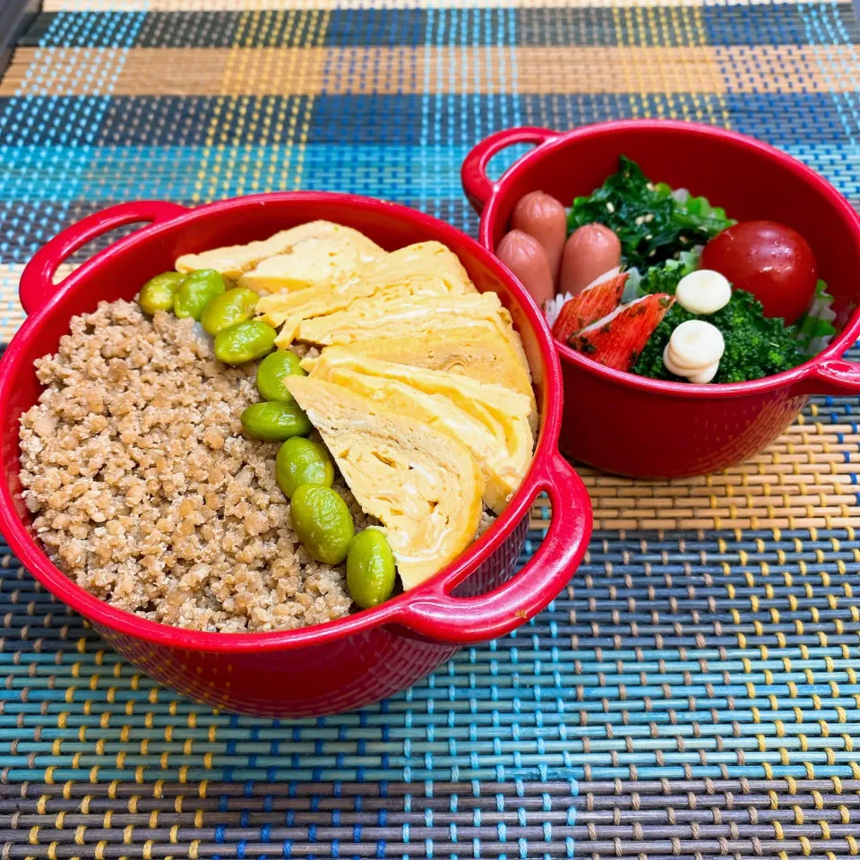 今日の旦那さんのお弁当|naoさん