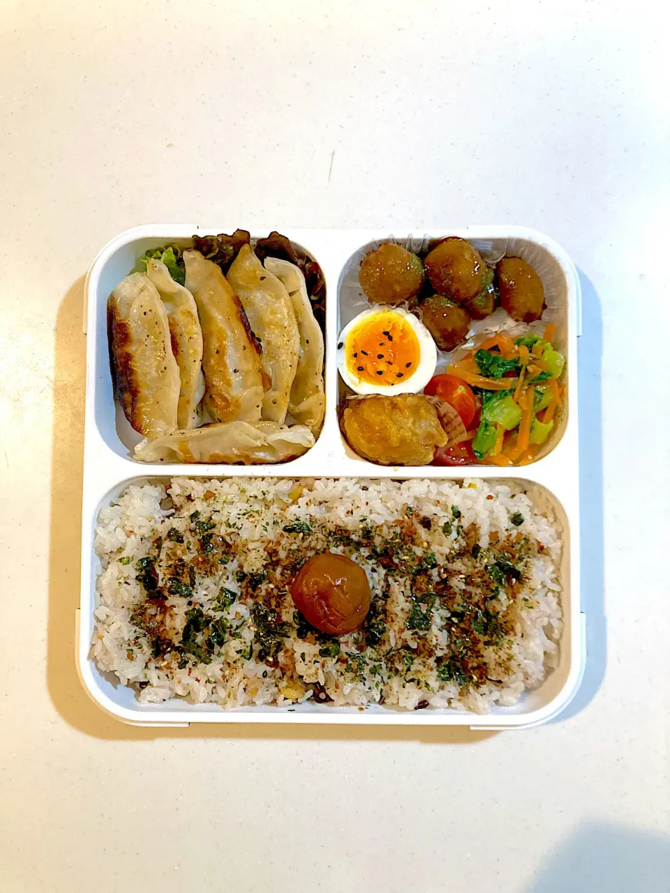 1/24 ◎ 餃子弁当|Yama○°さん