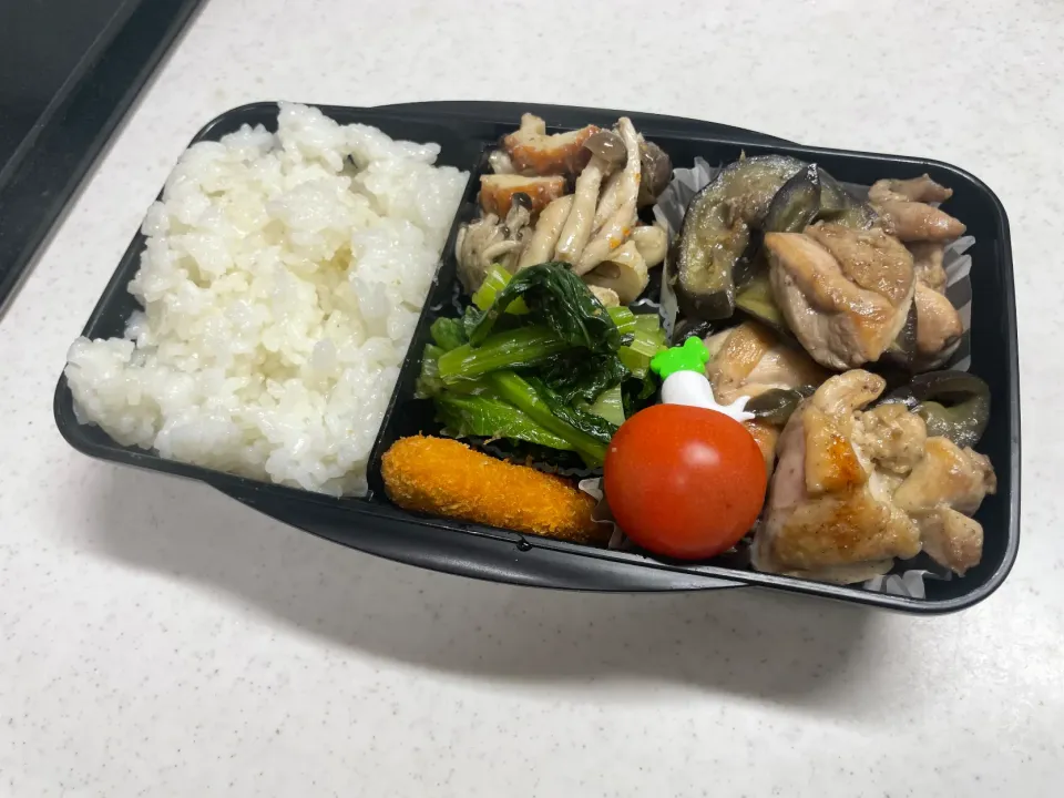 1/24 旦那弁当⁂とり肉と茄子の塩炒め弁当|ゆさん