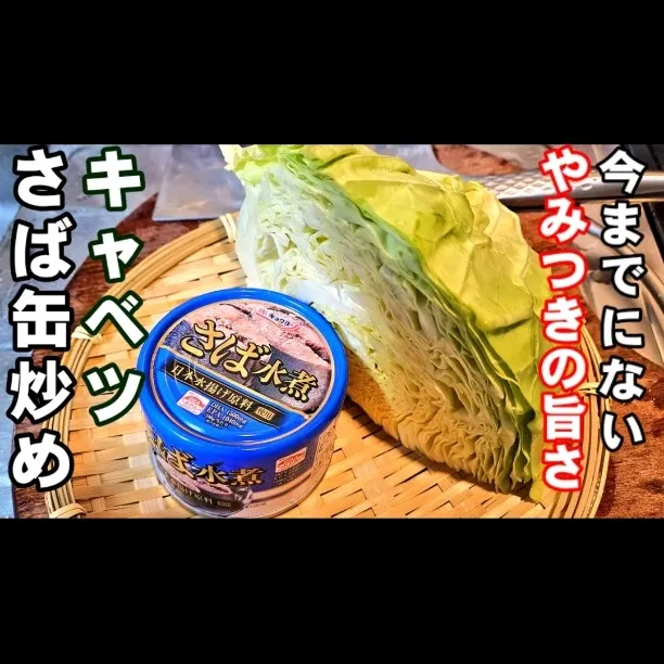 なんで今までやらなかったの？旬のキャベツとサバ缶でめちゃくちゃ美味しすぎて箸がとまらない！|ちゃらりんこクック とっしー😋さん