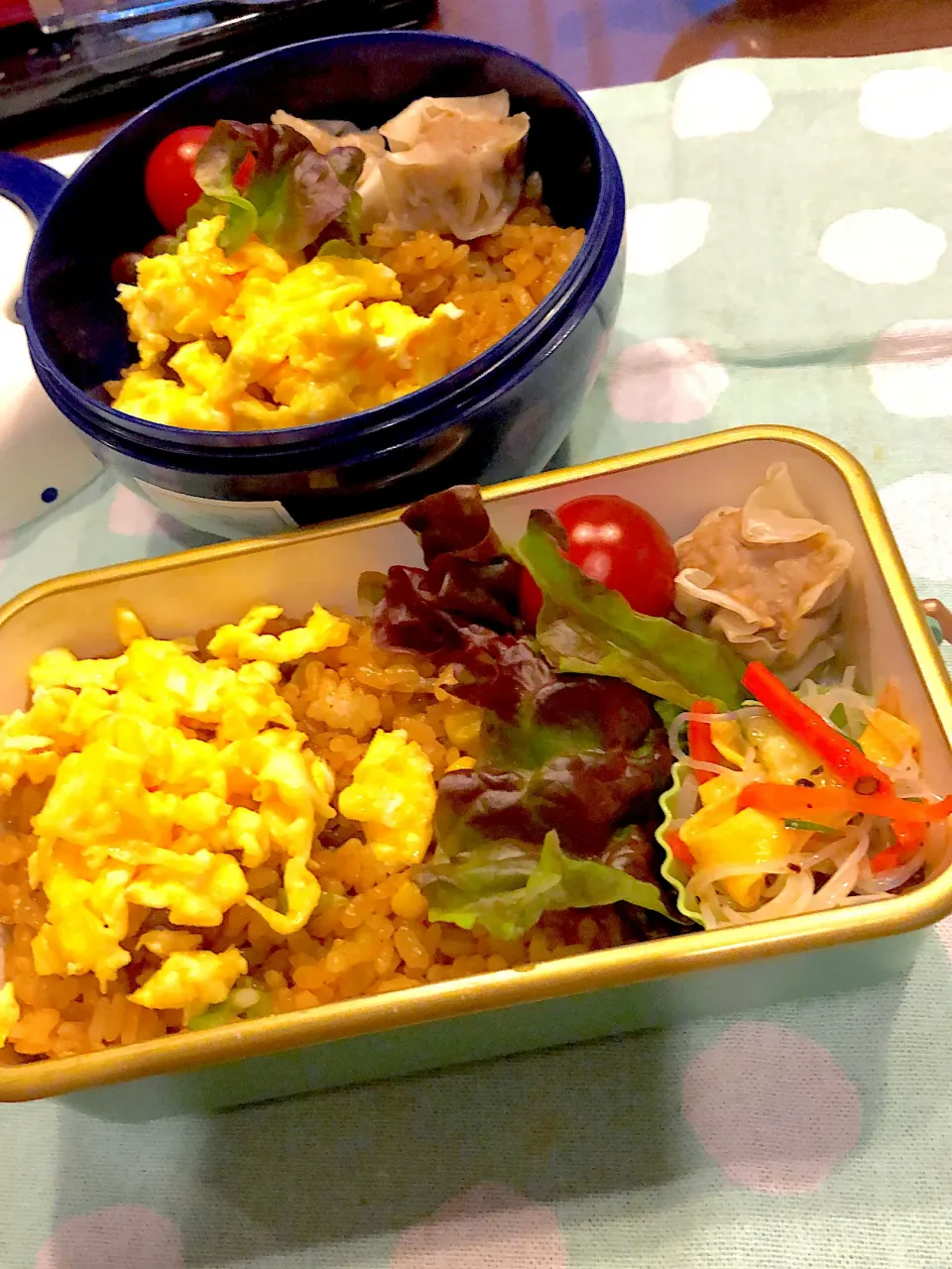 Snapdishの料理写真:2024.1.26  ＊今日のお弁当＊焼豚のタレ炒飯ᕷ*.°|rinrin*mama*さん