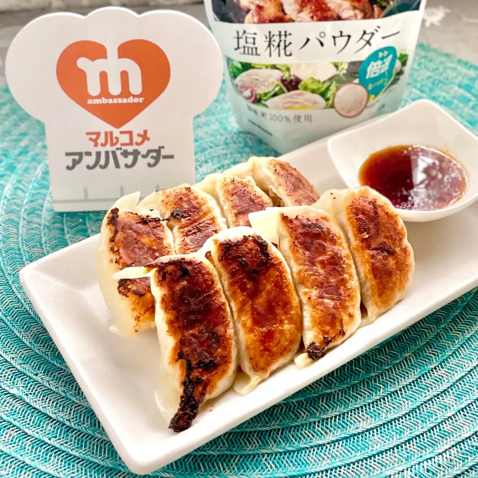 塩糀パウダーで焼き餃子です(∩ˊᵕˋ∩) .ﾟ♡|sucreroomさん