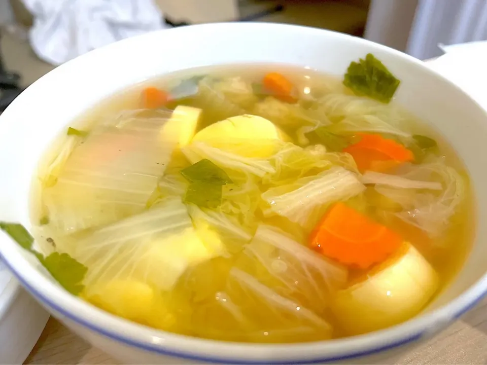 去年　タイ🇹🇭バンコクのBNHホスピタルに骨折で
入院した時の病院食　ゲンチュートウフ(野菜と肉団子と卵豆腐スープ) 優しくて美味しい味
日本人が好きな味　美味しいよ|Mikoshiba Kazutoshiさん