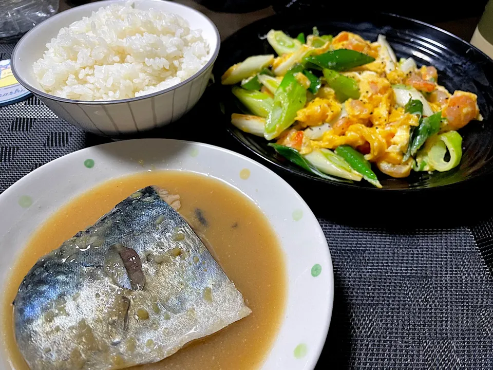 [サバの味噌煮]と[ネギとエビの炒り卵]|陽 香さん