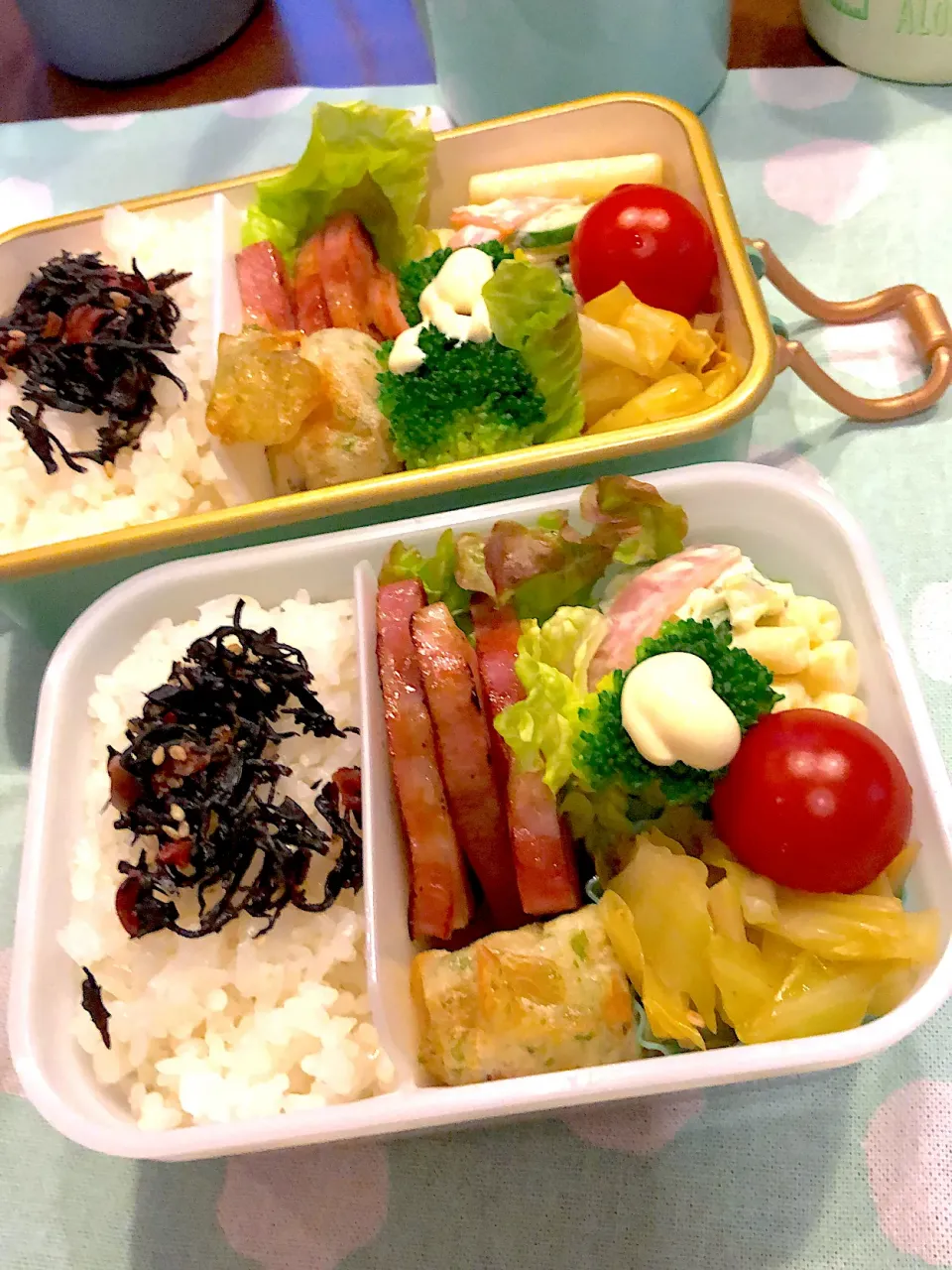 2024.1.29  ＊今日のお弁当＊キャベツのごまポン酢あえᕷ*.°|rinrin*mama*さん