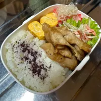 Snapdishの料理写真:きょうのお弁当|miwaringo♡さん