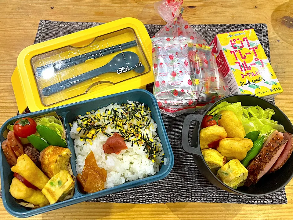 今日のヤツのお弁当（R6.1.29）|え〜かさん