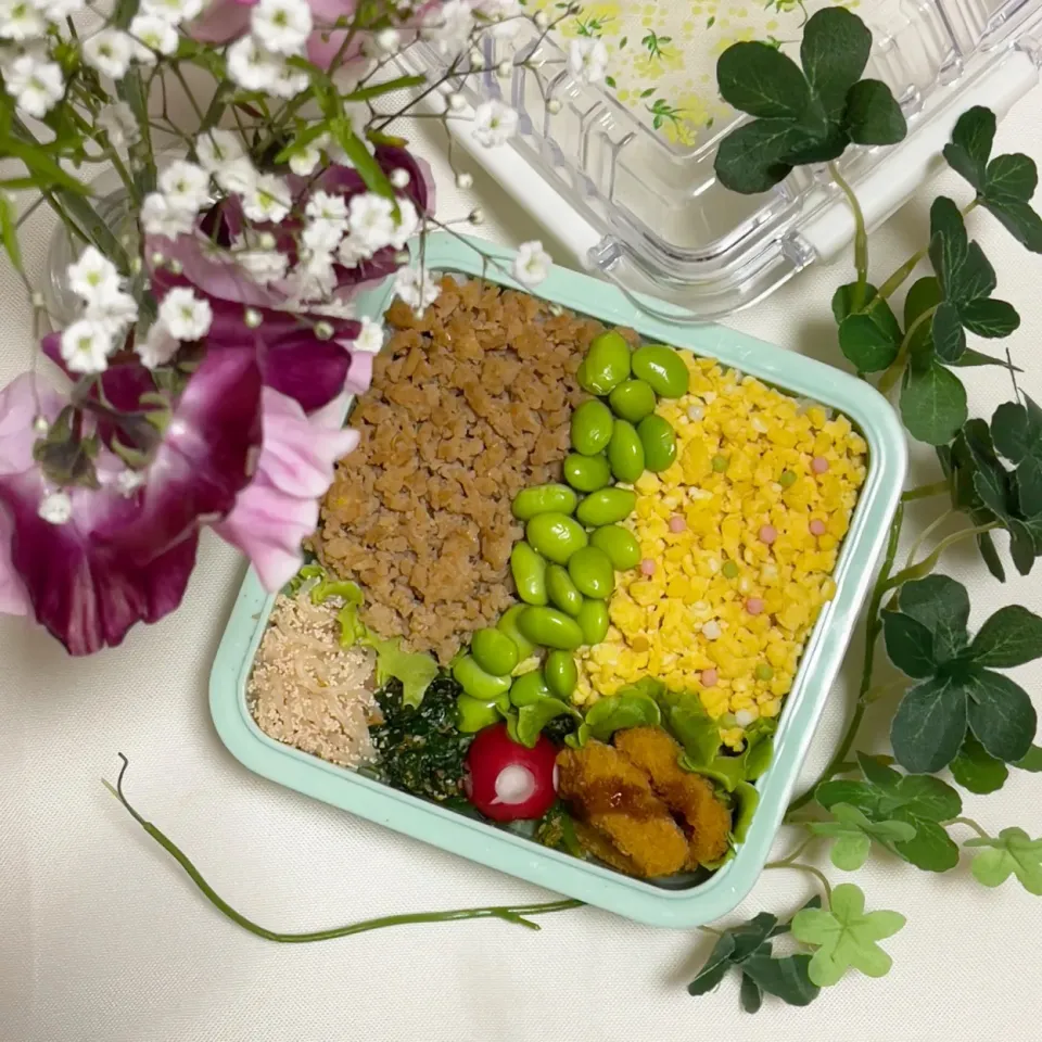 1/30❤︎主人の三色そぼろ弁当🌱✨

＊ 鶏そぼろ
＊ たまごそぼろ
＊ 塩茹で枝豆
＊ 明太子炒りしらたき
＊ サーモンマヨフライ|Makinsさん