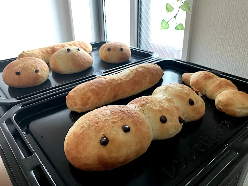 ＊子どもたちとパン作り🥖＊スイパン焼けました♡＊|＊抹茶＊さん