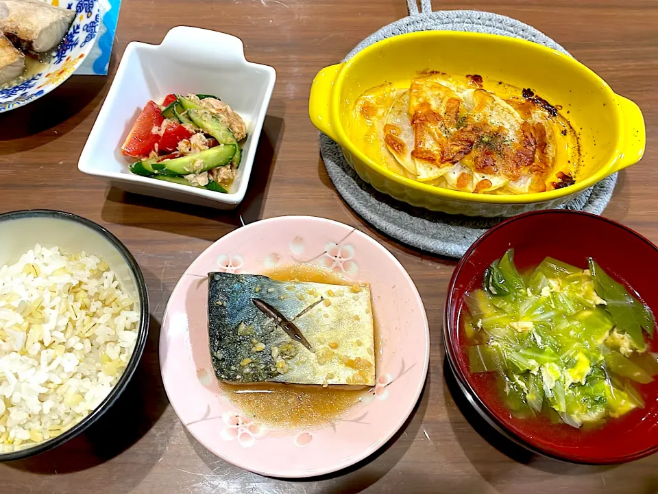 Snapdishの料理写真:鯖の味噌煮　キャベツと長ねぎのかき玉汁　大根と生ハムのチーズ焼き　きゅうりとミニトマトの中華ツナサラダ|おさむん17さん