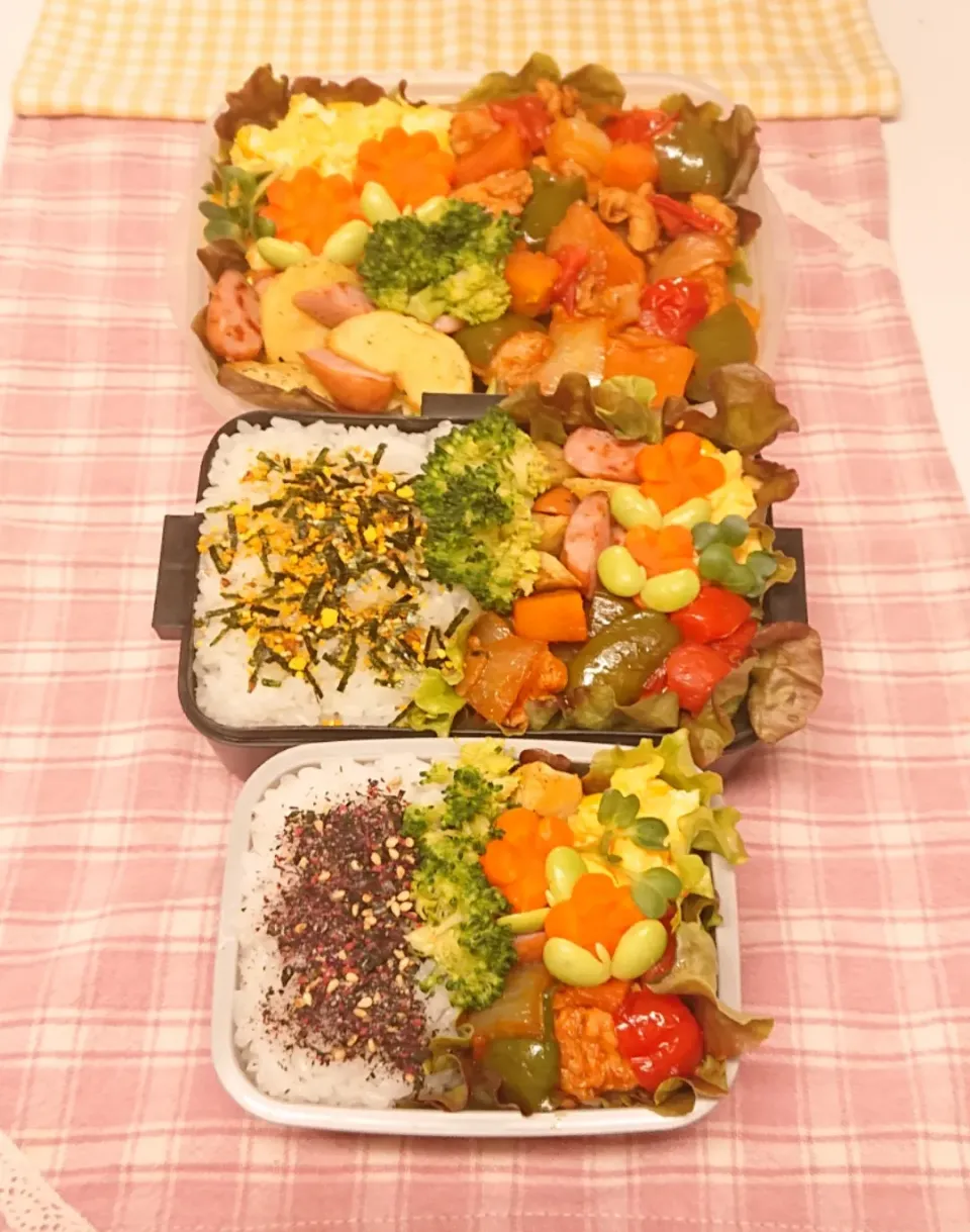 Snapdishの料理写真:野菜いっぱいポークチャップ弁当❤️|みちゅあしさん