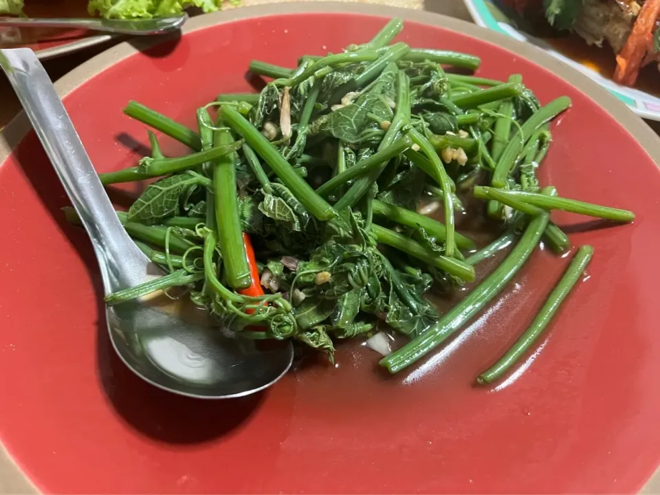 タイ🇹🇭バンコクのラプラオのタイ料理研究家のワサナさんの家での昼食　空芯菜炒めじゃなくてかぼちゃの茎の炒め物
味は空芯菜炒めと一緒　でも食感は全然違う　僕はこちらの方が好き|Mikoshiba Kazutoshiさん