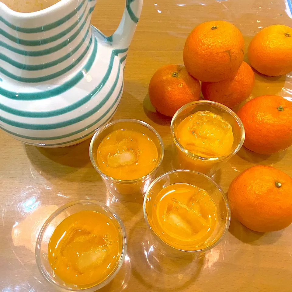 Snapdishの料理写真:🍊生搾りたんかんジュース🍹|moyukitaさん