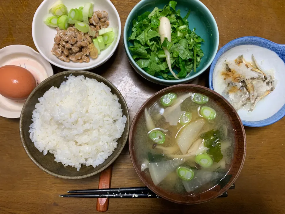 昼食|ATさん