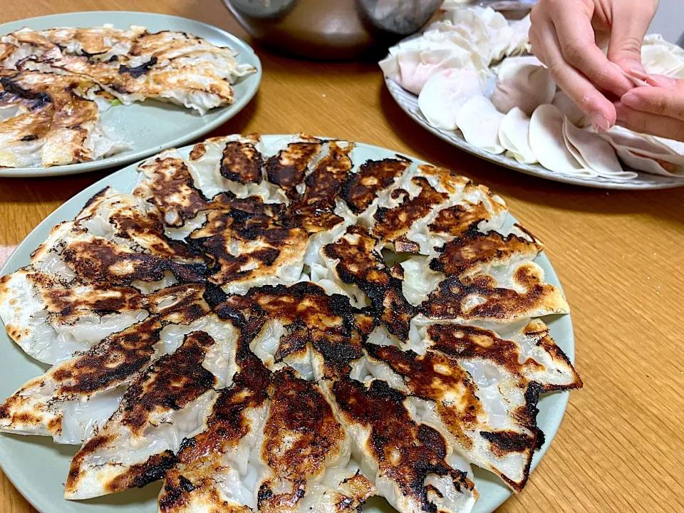 ＊子どもたちと餃子作り🥟大豆ミート入り冬野菜餃子🥟＊|＊抹茶＊さん