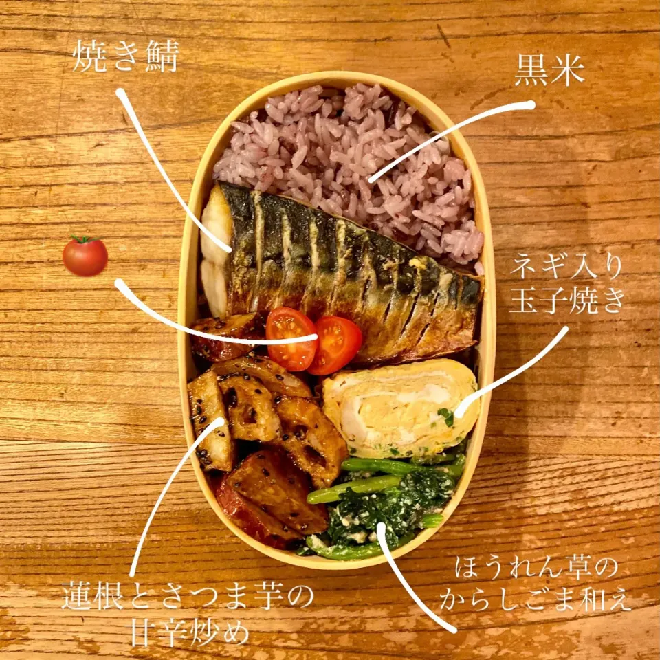 Snapdishの料理写真:お弁当|はーさん