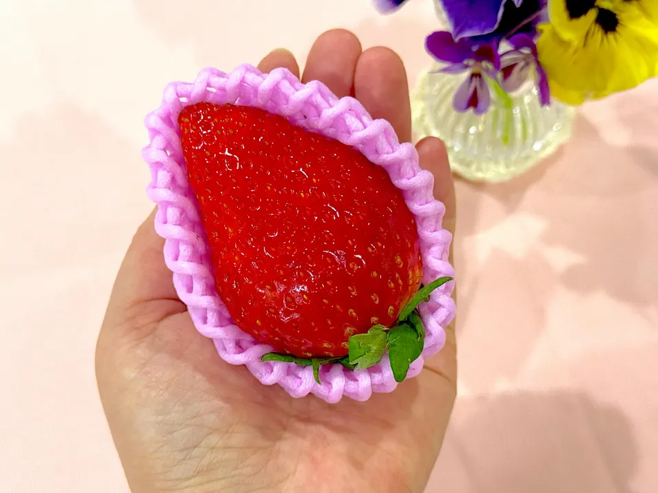 大きな苺を頬張る幸せ🥰🍓|Seikoさん