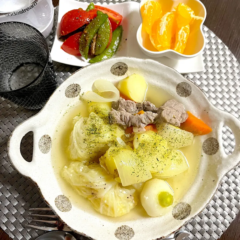 2/5晩ご飯：鹿もも肉の塩麹ポトフ|ななみんさん