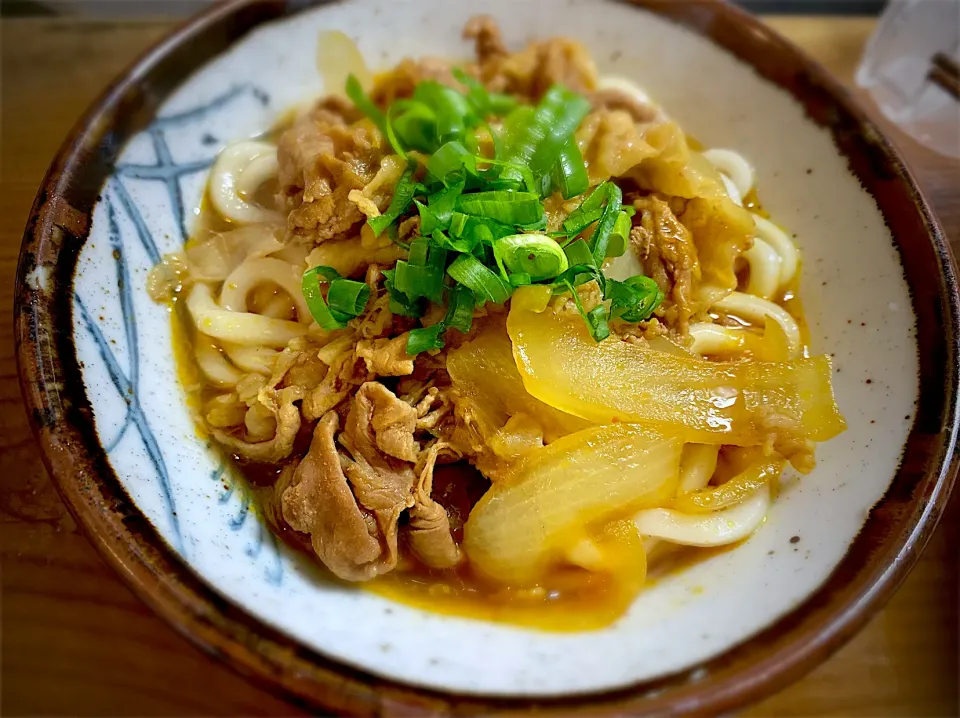 カレーうどん|名状しがたいゴミムシのようなものさん