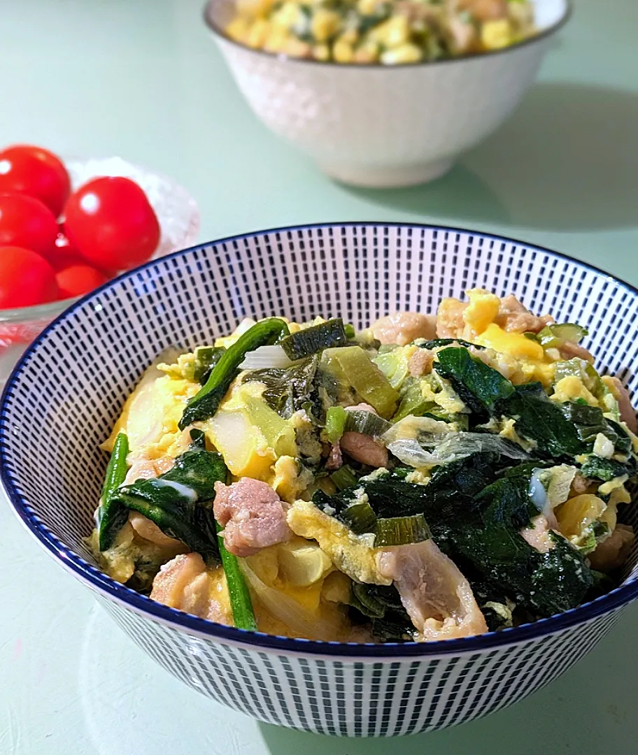 野菜たっぷり親子丼❗|かずにゃさん