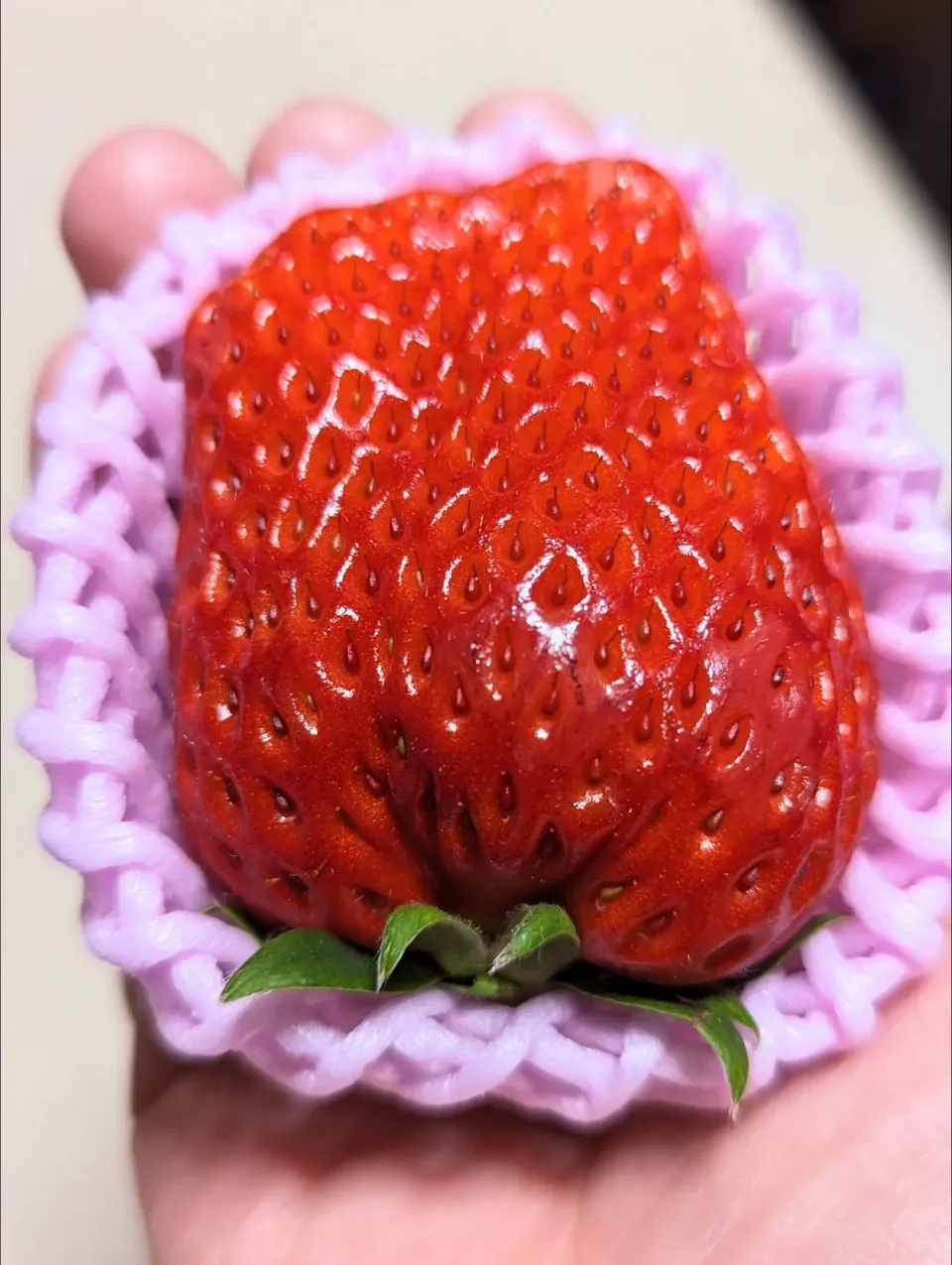 Seikoさんの料理 大きな苺を頬張る幸せ🥰🍓|f.1125beさん