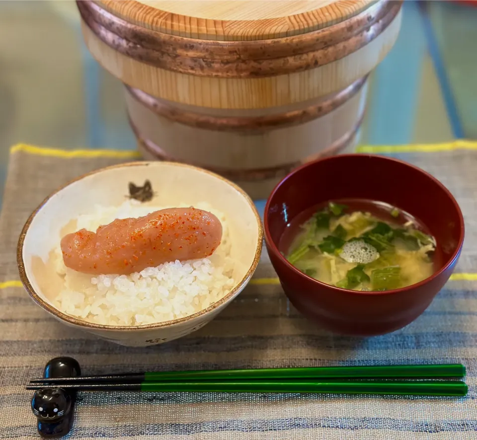 めんたいこごはん🍚|にゃあ（芸名）さん