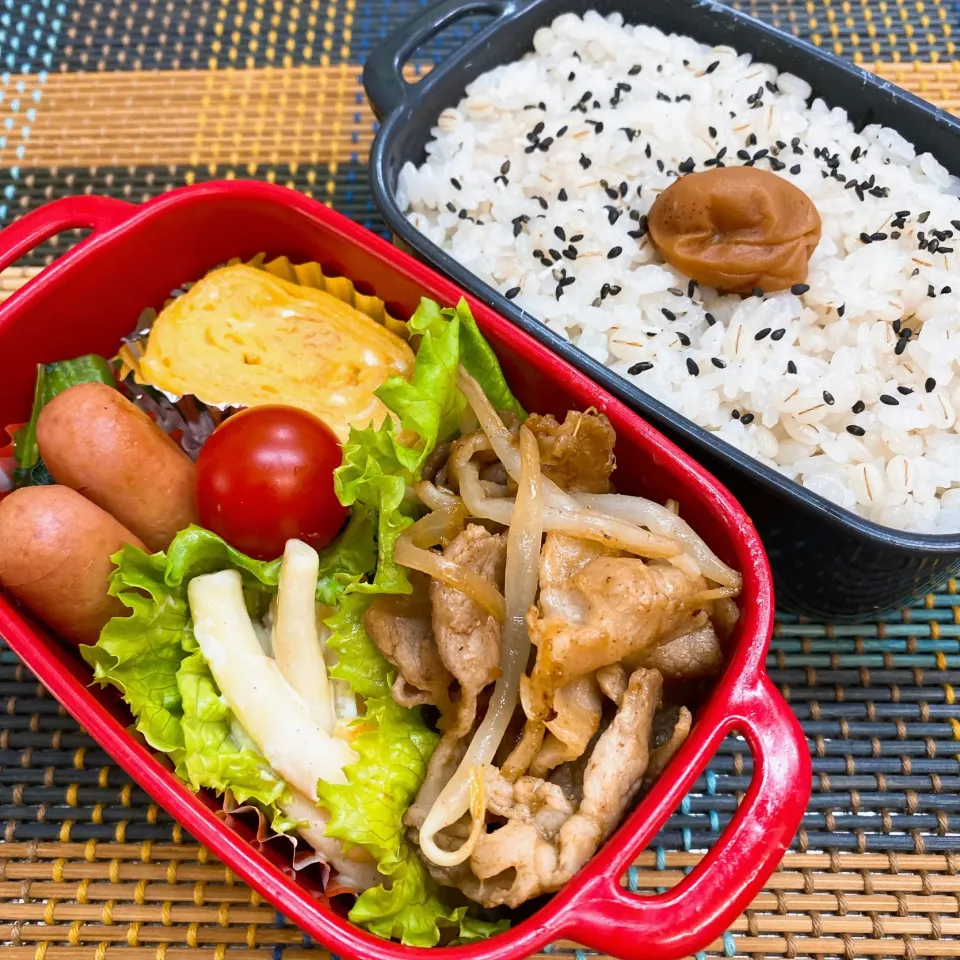 Snapdishの料理写真:今日の旦那さんのお弁当|naoさん