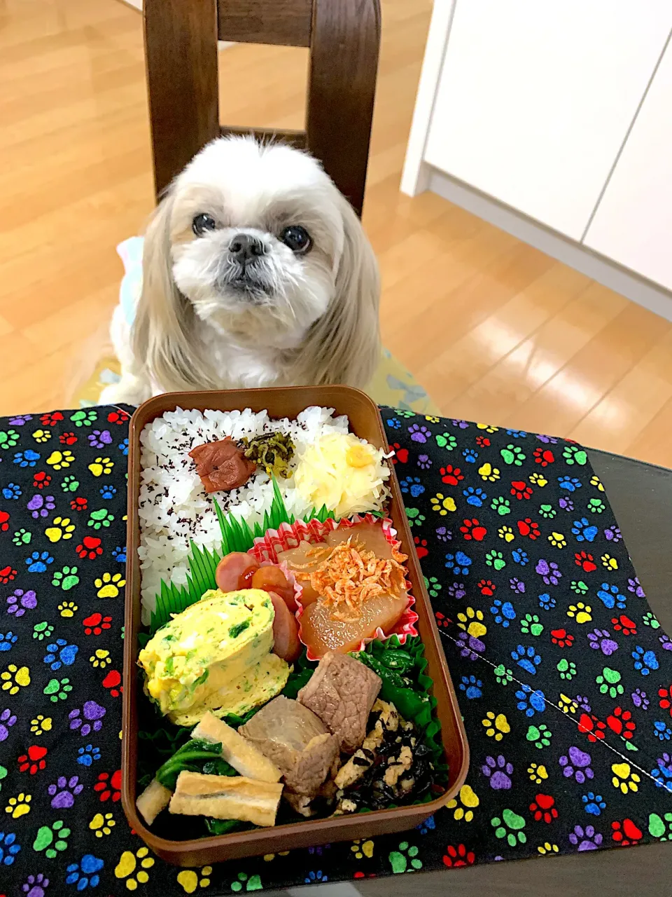 2月14日 プクパパお弁当🍱|プクママさん