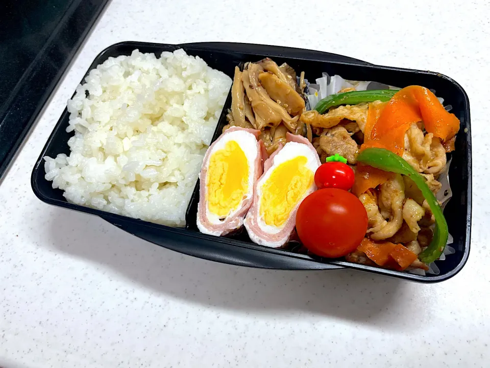 2/16 旦那弁当⁂ぶた焼肉弁当|ゆさん