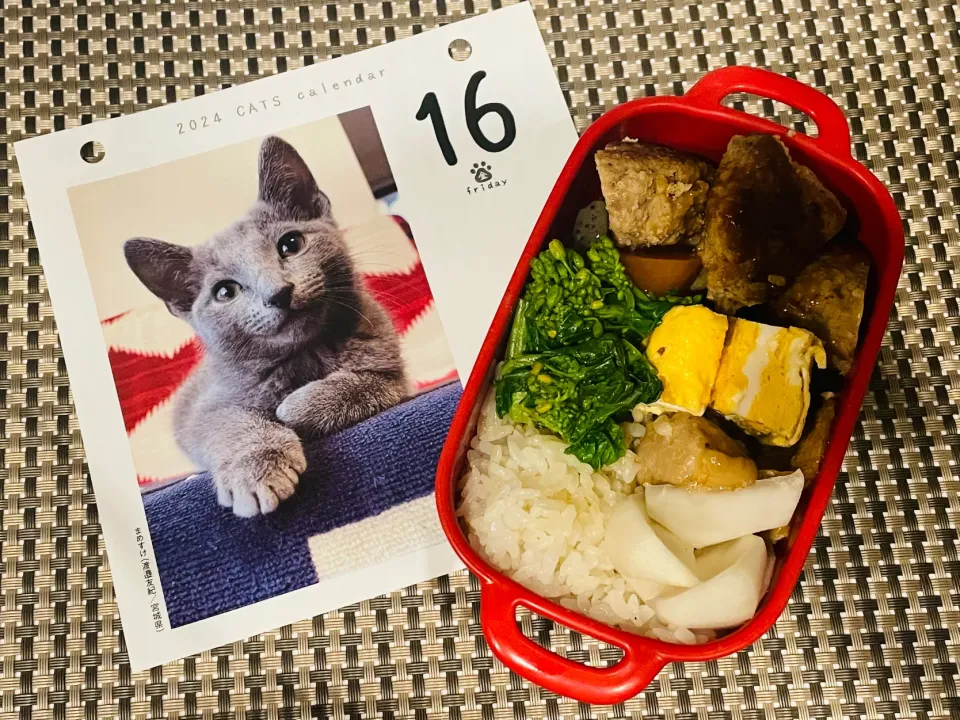 20240216🍱今日の自分弁当🍱|akiyo22さん