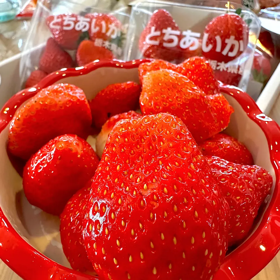 とちあいかととちおとめ🍓|愛さん