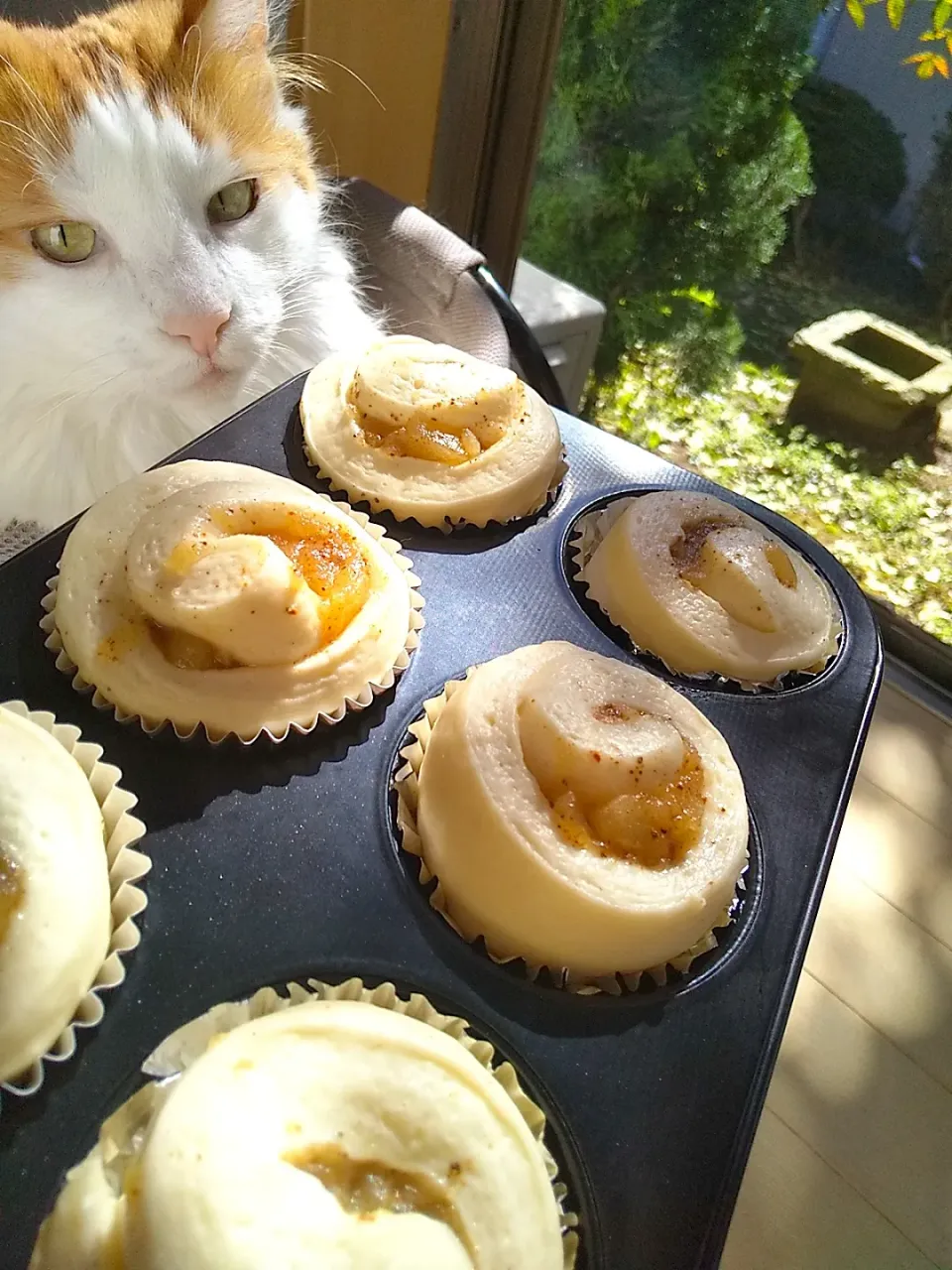 リンゴシナモンロール🍎
いまから焼き上げます😸楽しみ〰️|さくらんぼさん