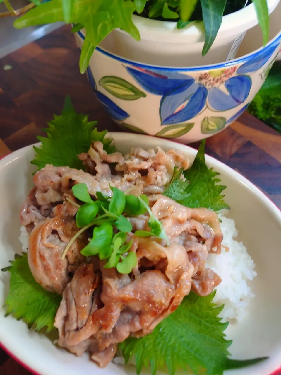 Snapdishの料理写真:自分ランチ生姜焼き丼|粉雪くるみさん