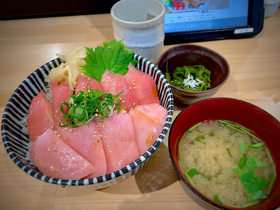 Snapdishの料理写真:2024/2/18 お昼ごはんは沼津山正さんの本マグロの中トロと大トロの二色丼|ひーちゃんさん