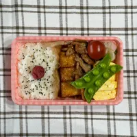 Snapdishの料理写真:2/19 お弁当|yuusaさん