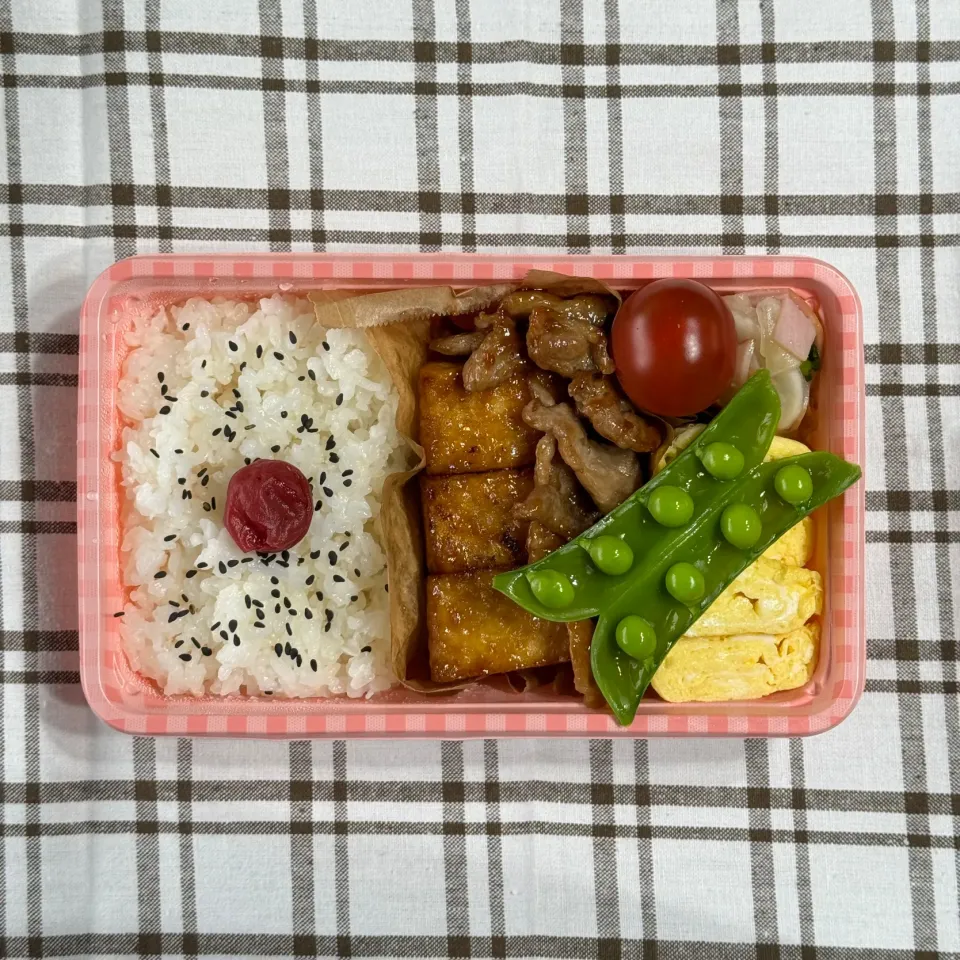 2/19 お弁当|yuusaさん