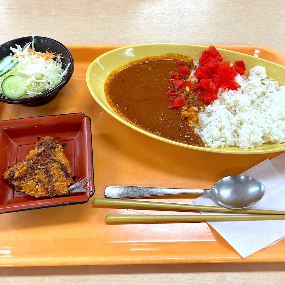 野菜ビーフカレー🍛😋|すかラインさん