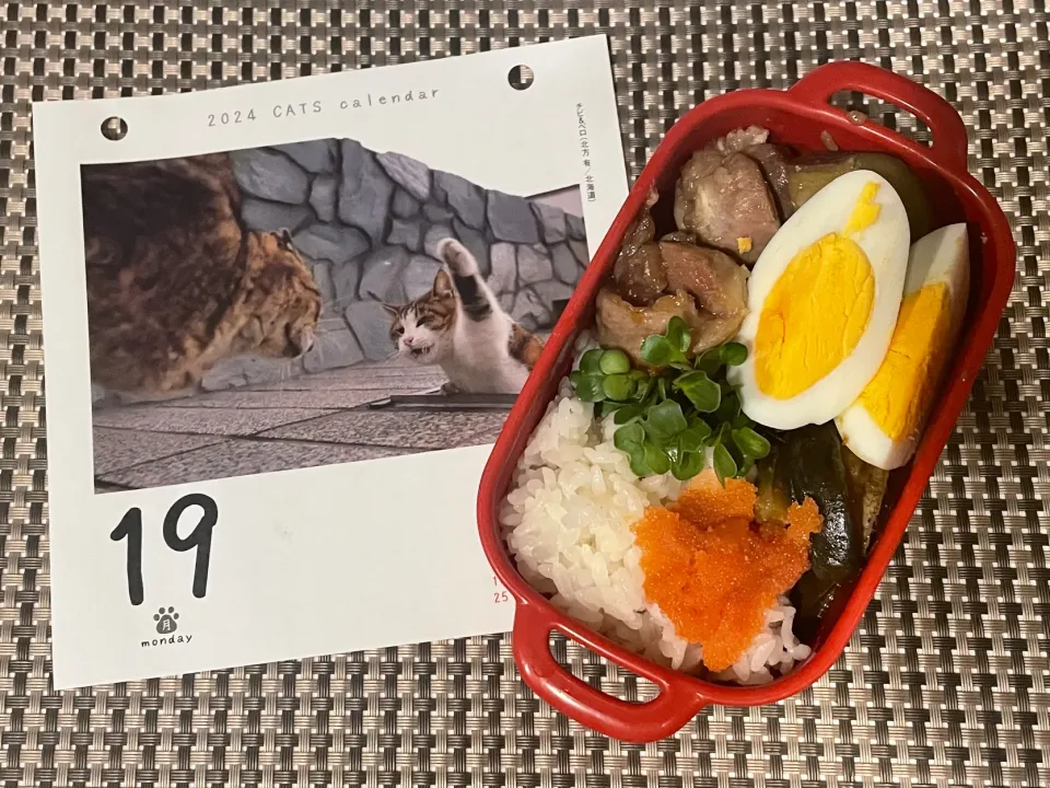 20240219🍱今日の自分弁当🍱|akiyo22さん