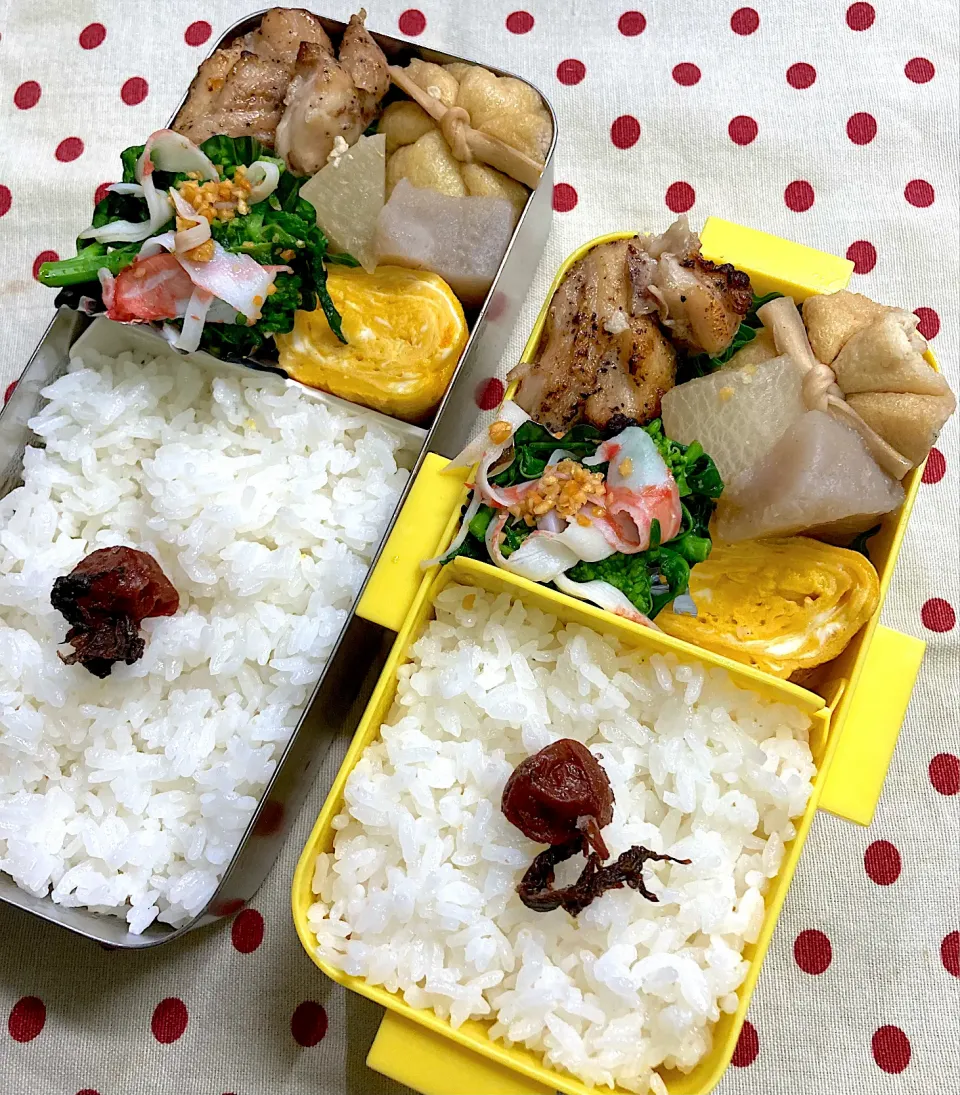 2月21日 週の中日 弁当🍱|sakuramochiさん