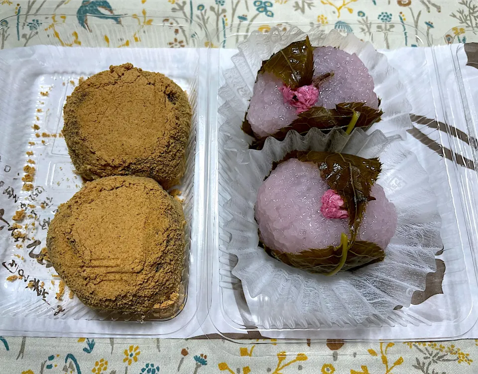 わらび餅饅頭、桜餅（道明寺）|こいちさん