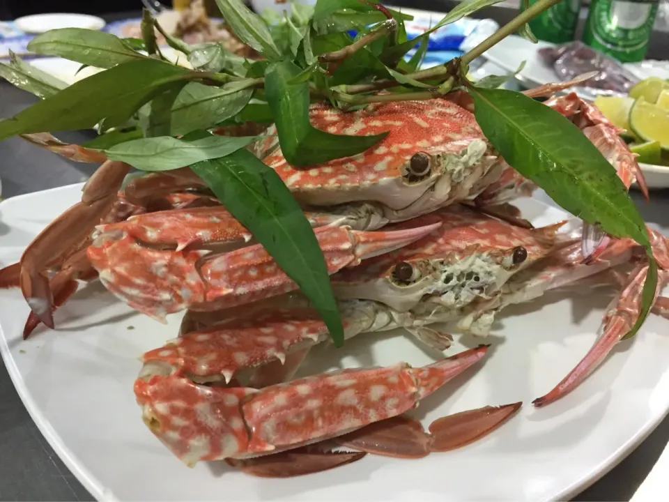 ベトナム🇻🇳ブンタウのシーフードレストランで蟹🦀
新鮮で凄く美味しかった|Mikoshiba Kazutoshiさん