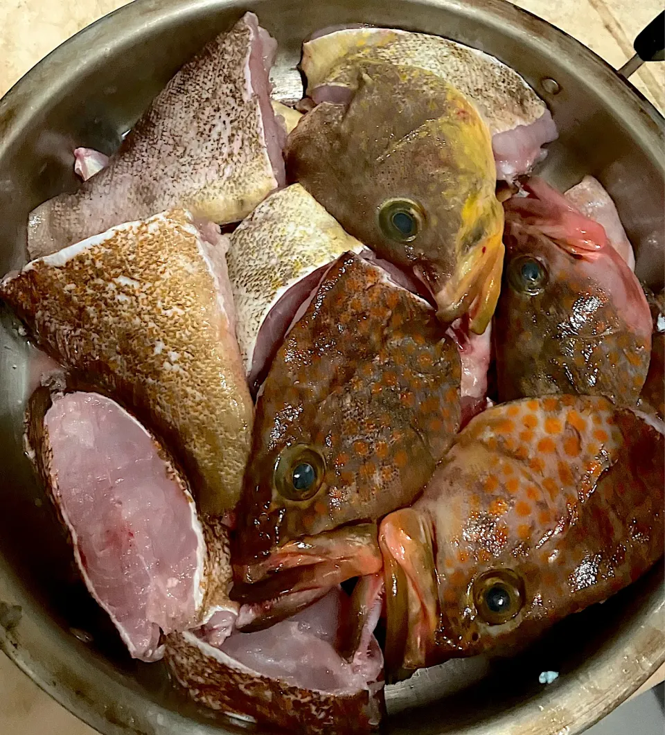 Snapdishの料理写真:刺身を取った後、鍋🍲用に捌いたアコウ（キジハタ）とアラ（クエ）|🐈⸒⸒⸒⸒つるのダンス🐈🐾さん