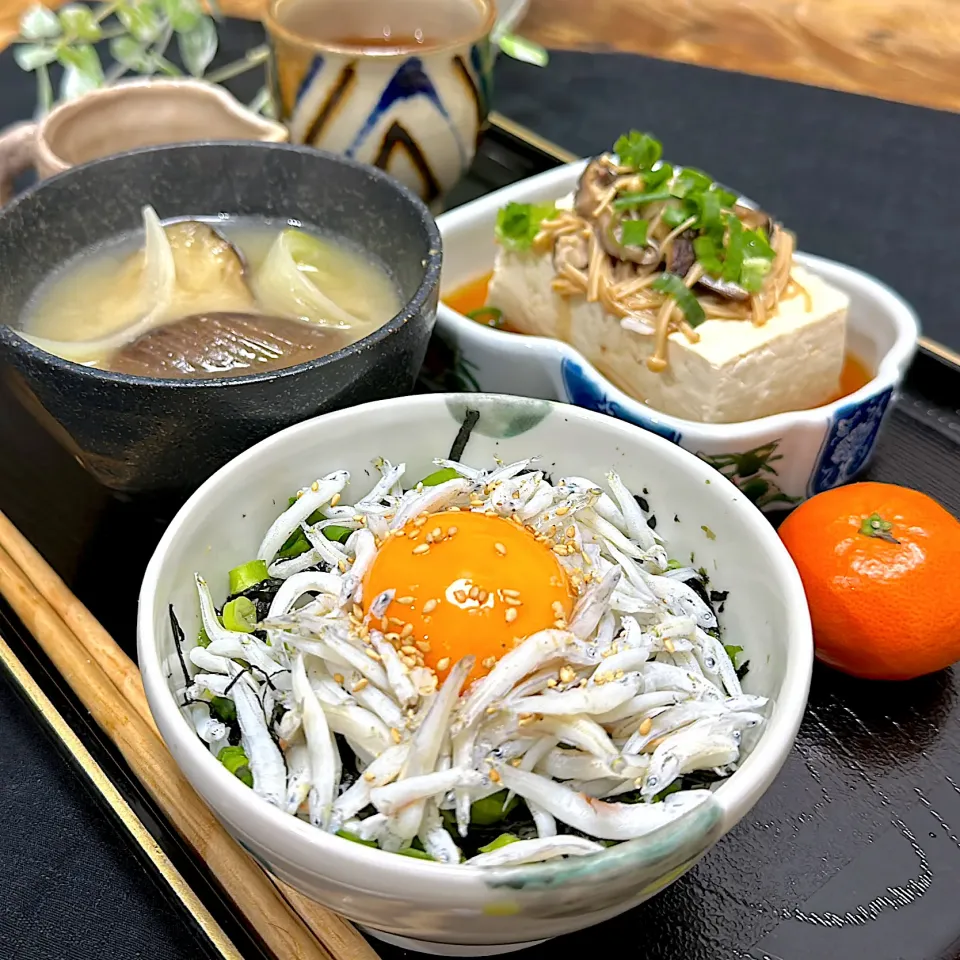 太しらす丼|くまちゃんさん