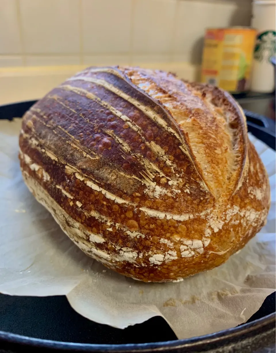 Sourdough Bread|gonbenさん