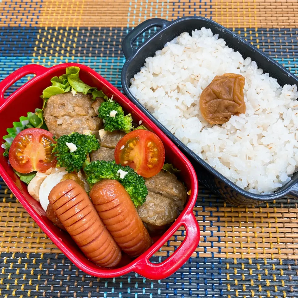 今日の旦那さんのお弁当|naoさん