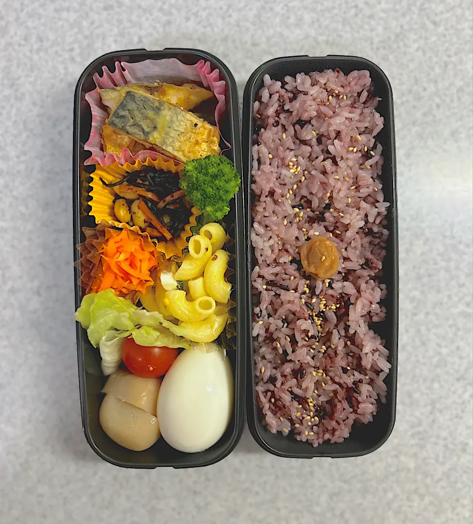 お弁当記録11|satoさん