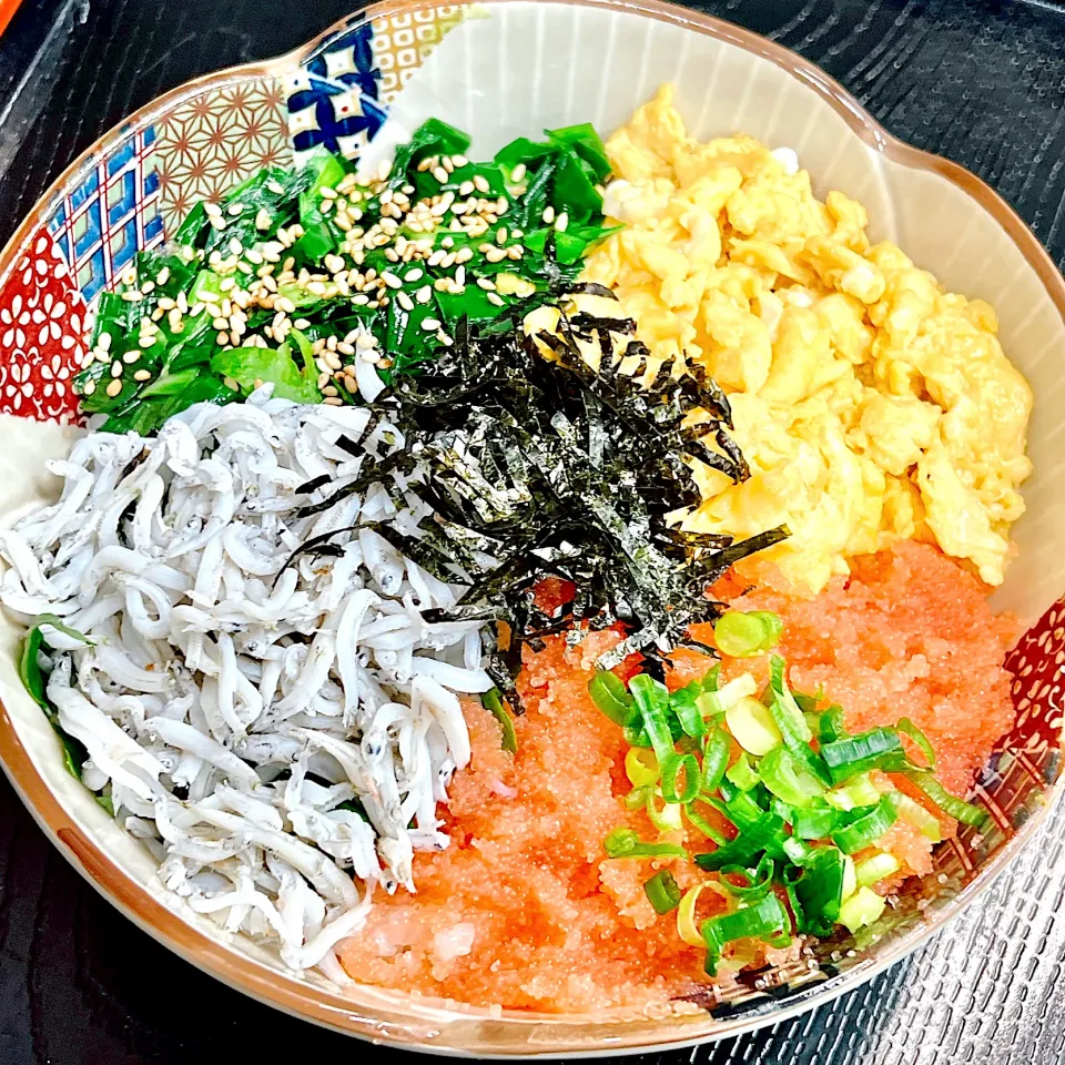 4色で鮮やか！明太しらす丼|まめもにおさん